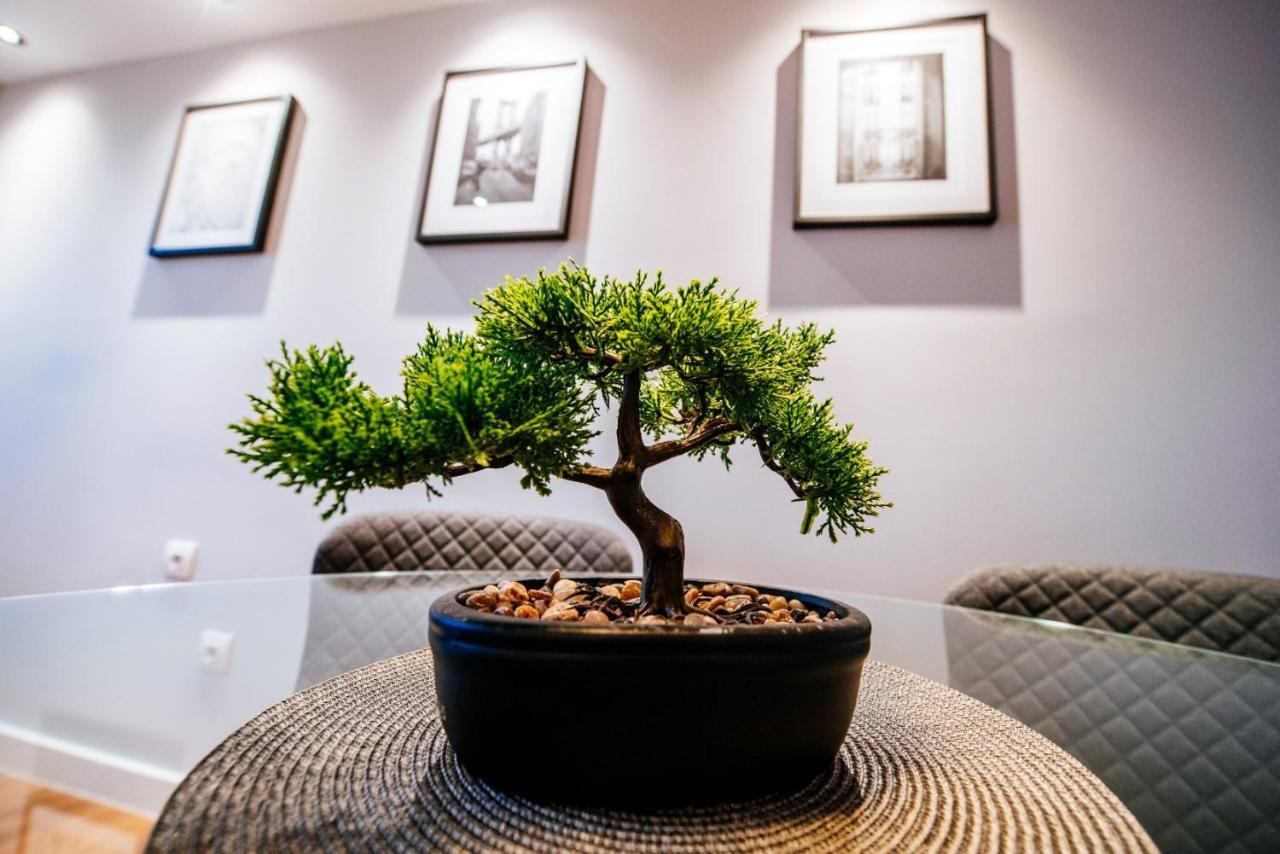 Apartament Penthouse Luxury *